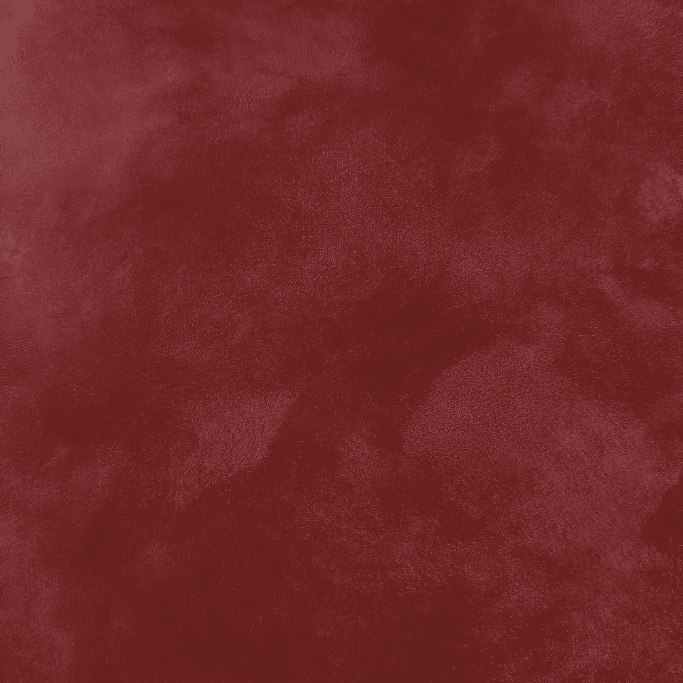 VELOUR